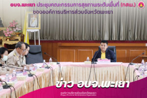 องค์การบริหารส่วนจังหวัดพะเยา ประชุมคณะกรรมการสุขภาพระดับพื้นที่ (กสพ.) ขององค์การบริหารส่วนจังหวัดพะเยา
